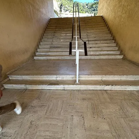 Casa Lynael Saint Roch 니스